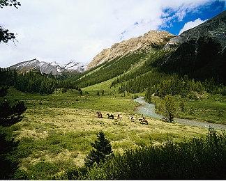 《艾尔登法环》官方致谢TGA为年度游戏提名 感到荣幸