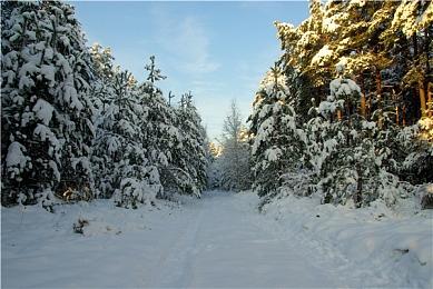 《小丑牌》新联动内容预告公布 游戏现已加入XGP